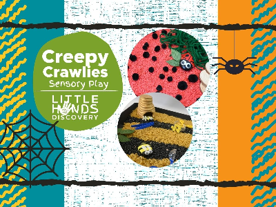 Kidcreate Studio - Eden Prairie. Creepy Crawlies Sensory Play (12 months -6 Years)