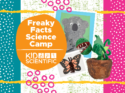 Freaky Facts Science Camp Summer Camp (4-10 Years)